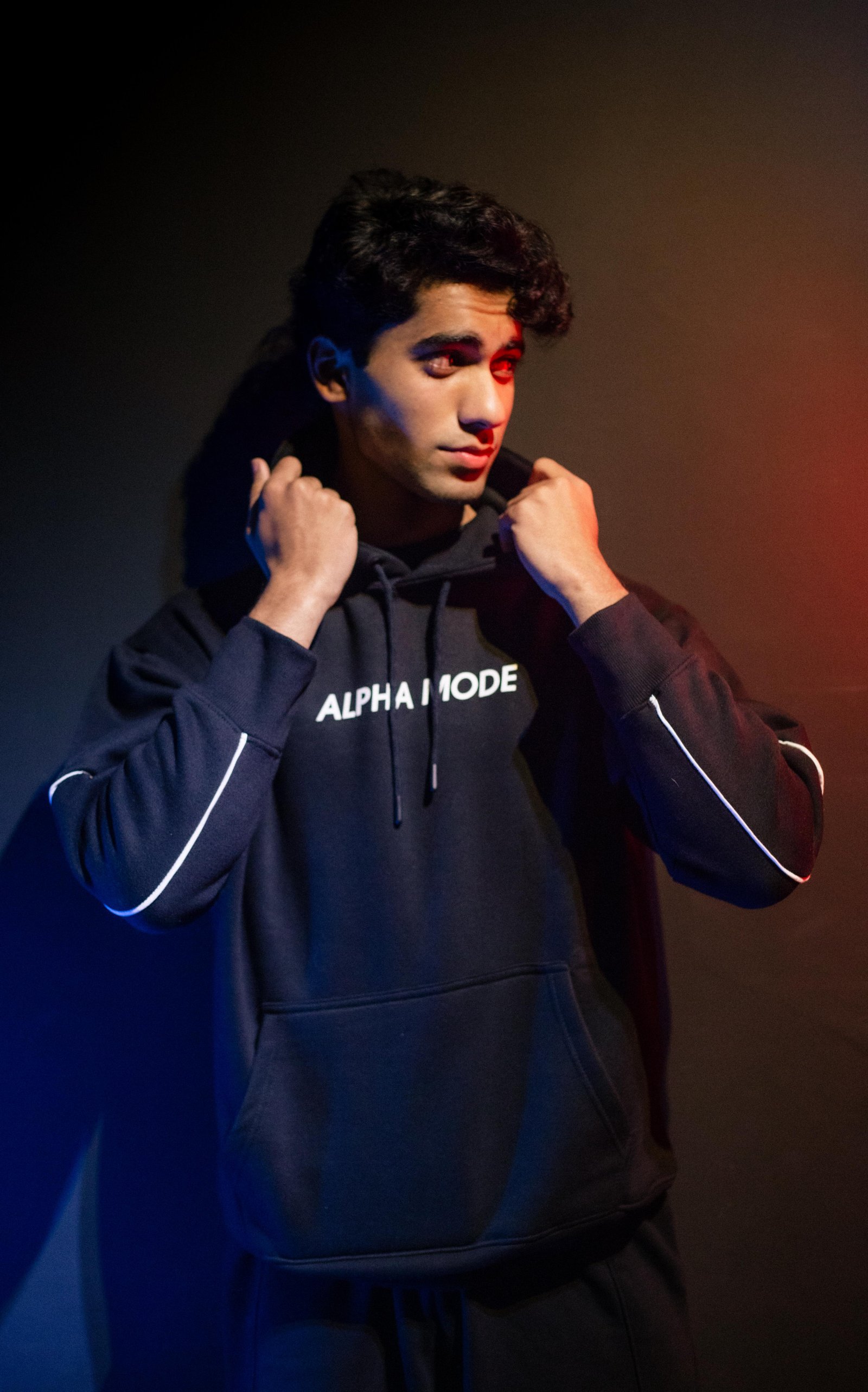 Alpha Mode Hoodie | Heavy Embroidered Back